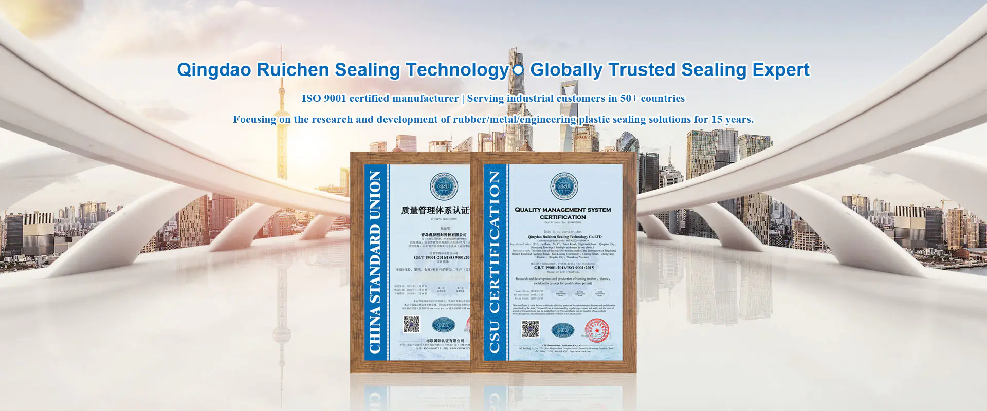 Kina forseglingsdele Producent