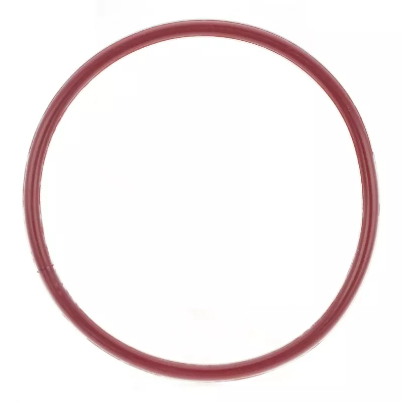 FEP/PFA indkapslet O-ring