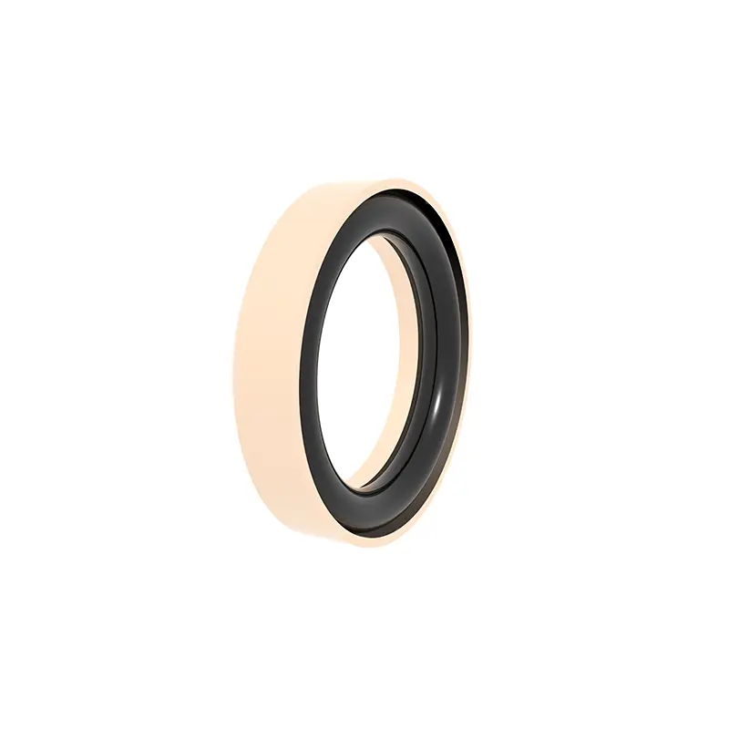 High Pressure End Flange Seals High Pressure End Flange Seals